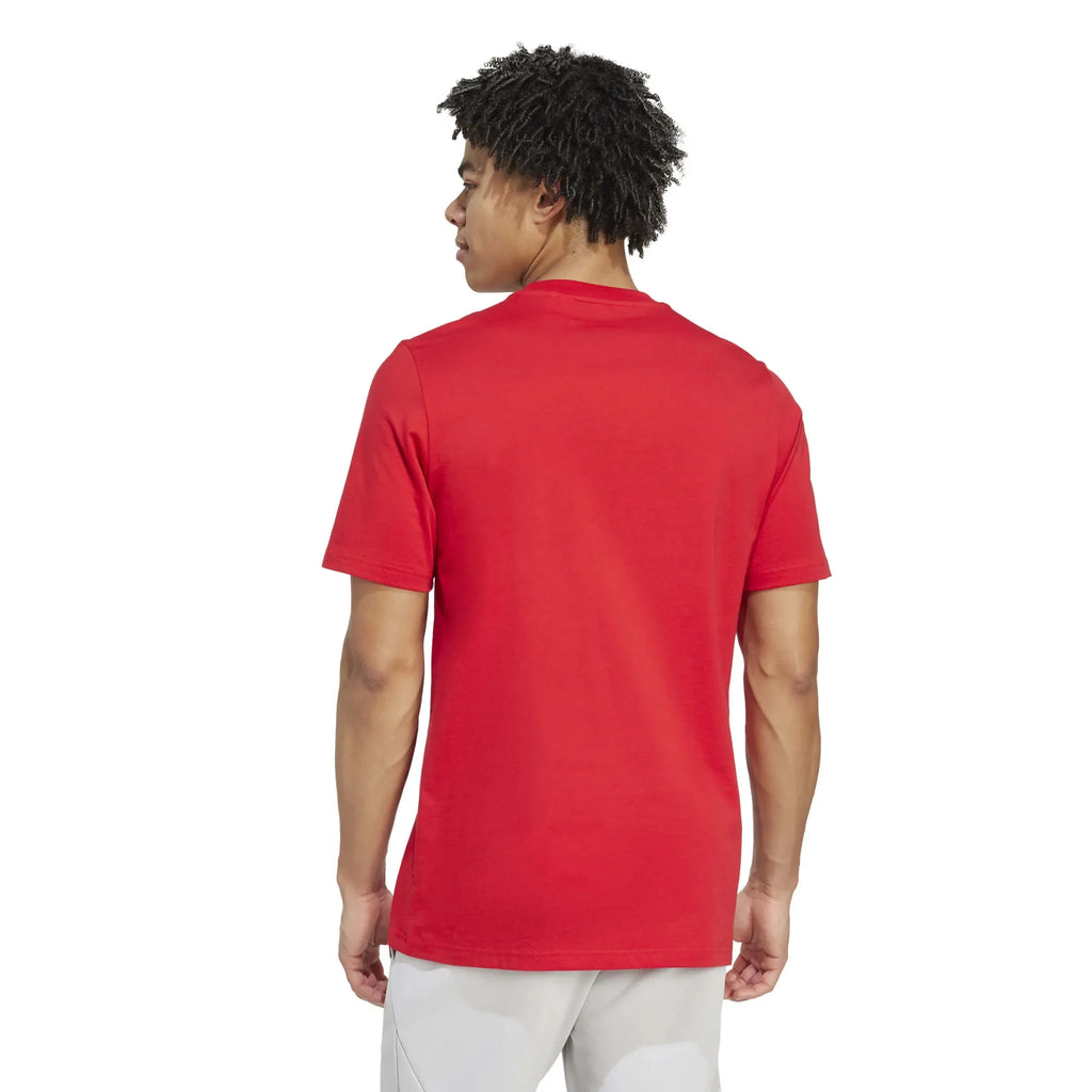 adidas 2025-26 Arsenal Men's Seasonal Graphic Tee