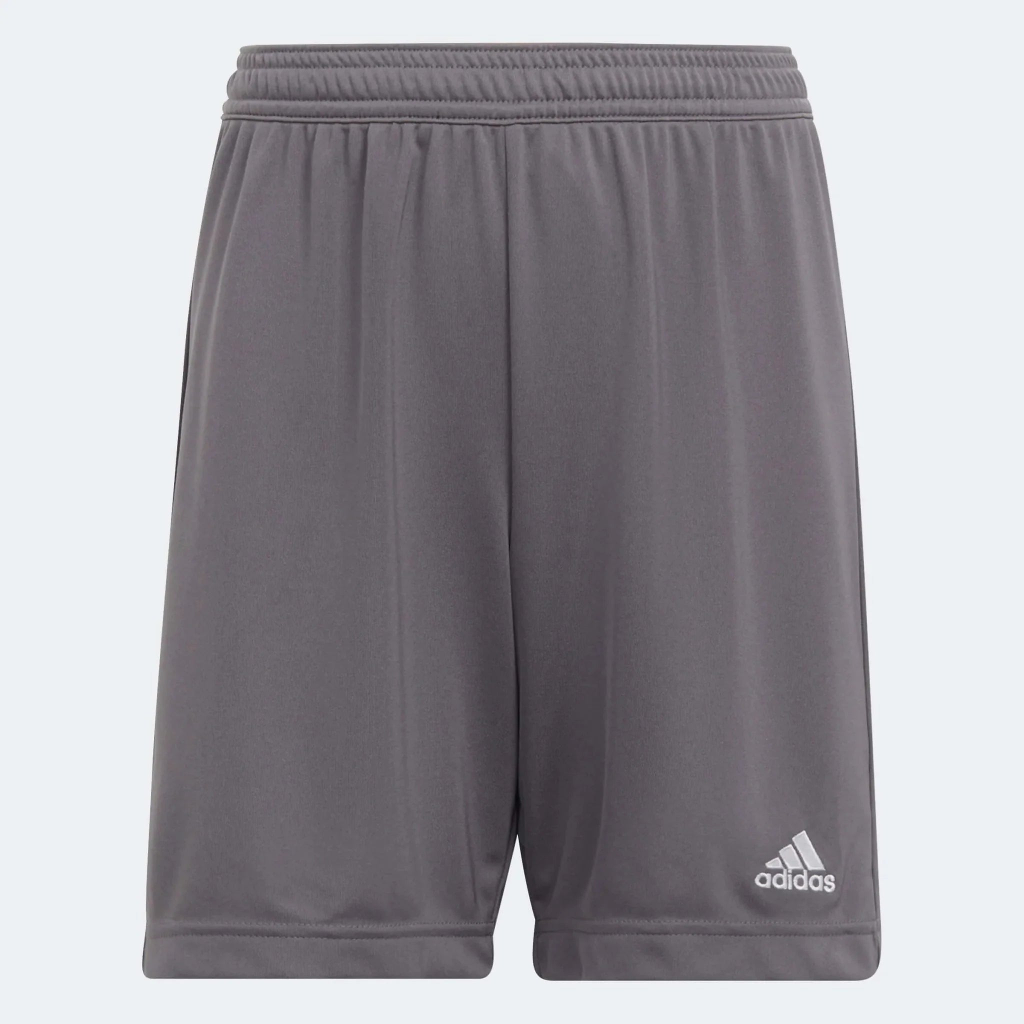 adidas Entrada 22 Youth Shorts