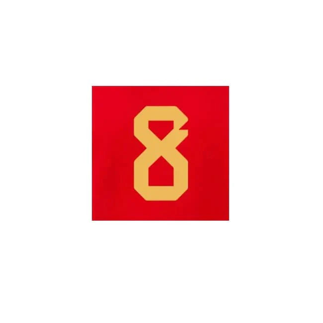 Belgium 2022-23 Home Tielemans #8 Jersey Name Set