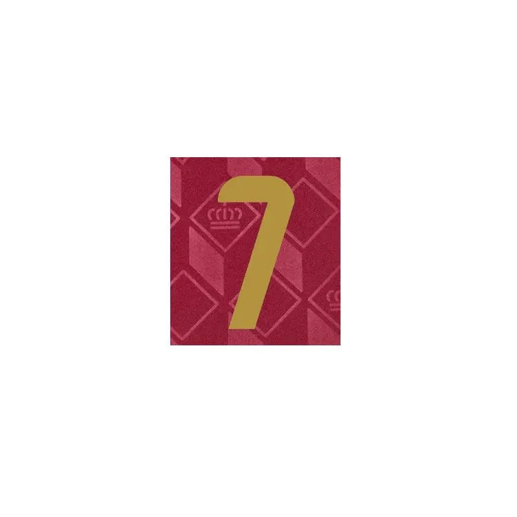 Belgium 2024/25 Home De Bruyne #7 Youth Jersey Name Set