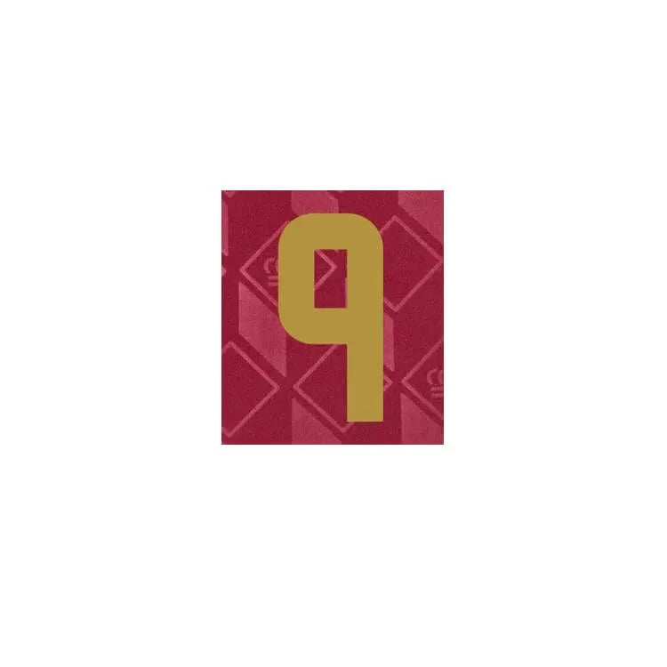 Belgium 2024/25 Home Trossard #9 Jersey Name Set