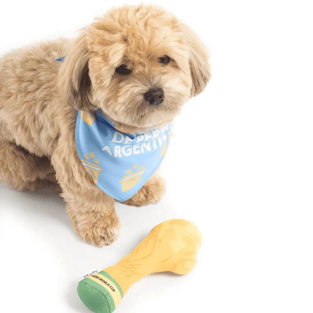 Floofball Argentina Dog Bandana
