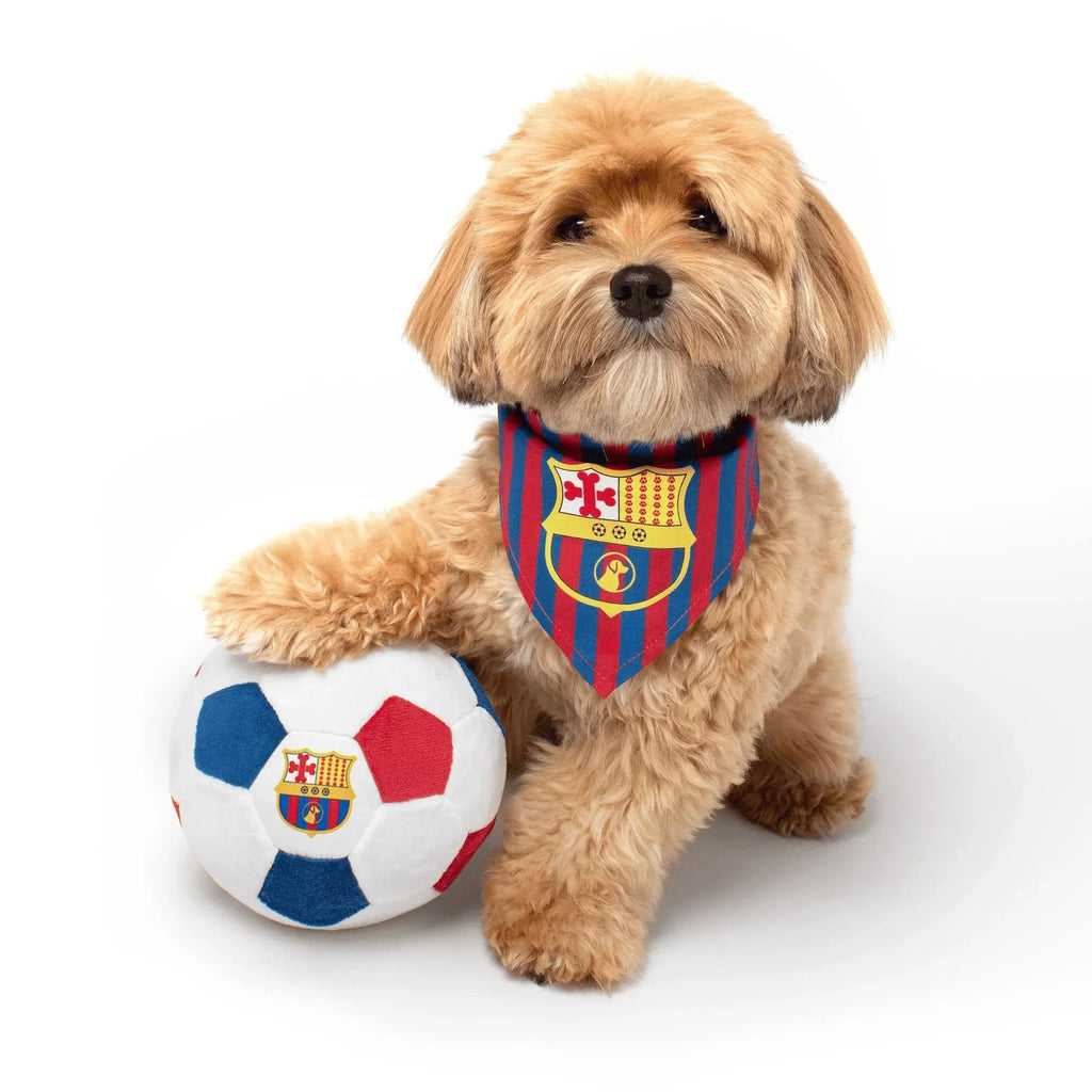 Floofball Barkcelona Dog Bandana