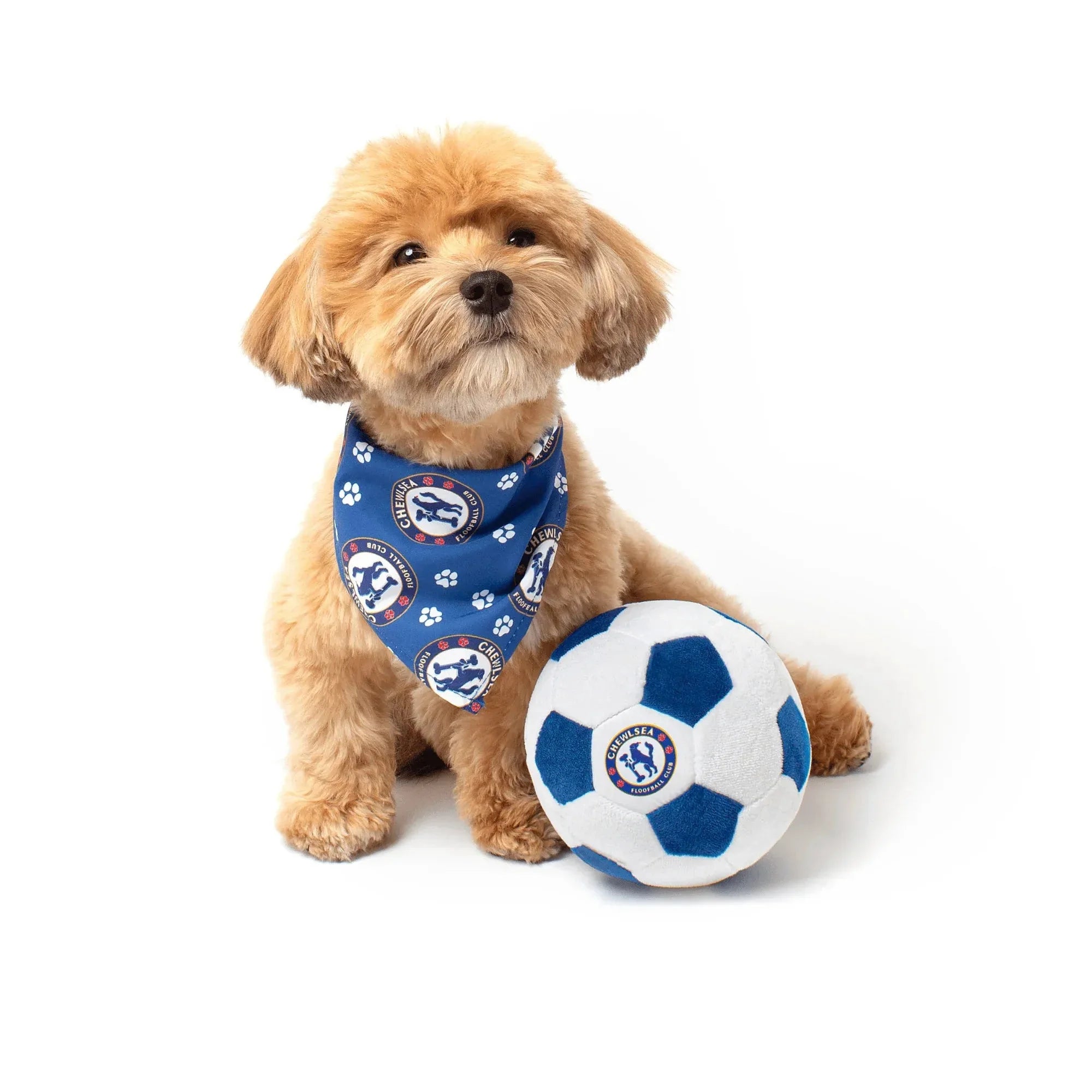 Floofball Chewlsea Dog Bandana