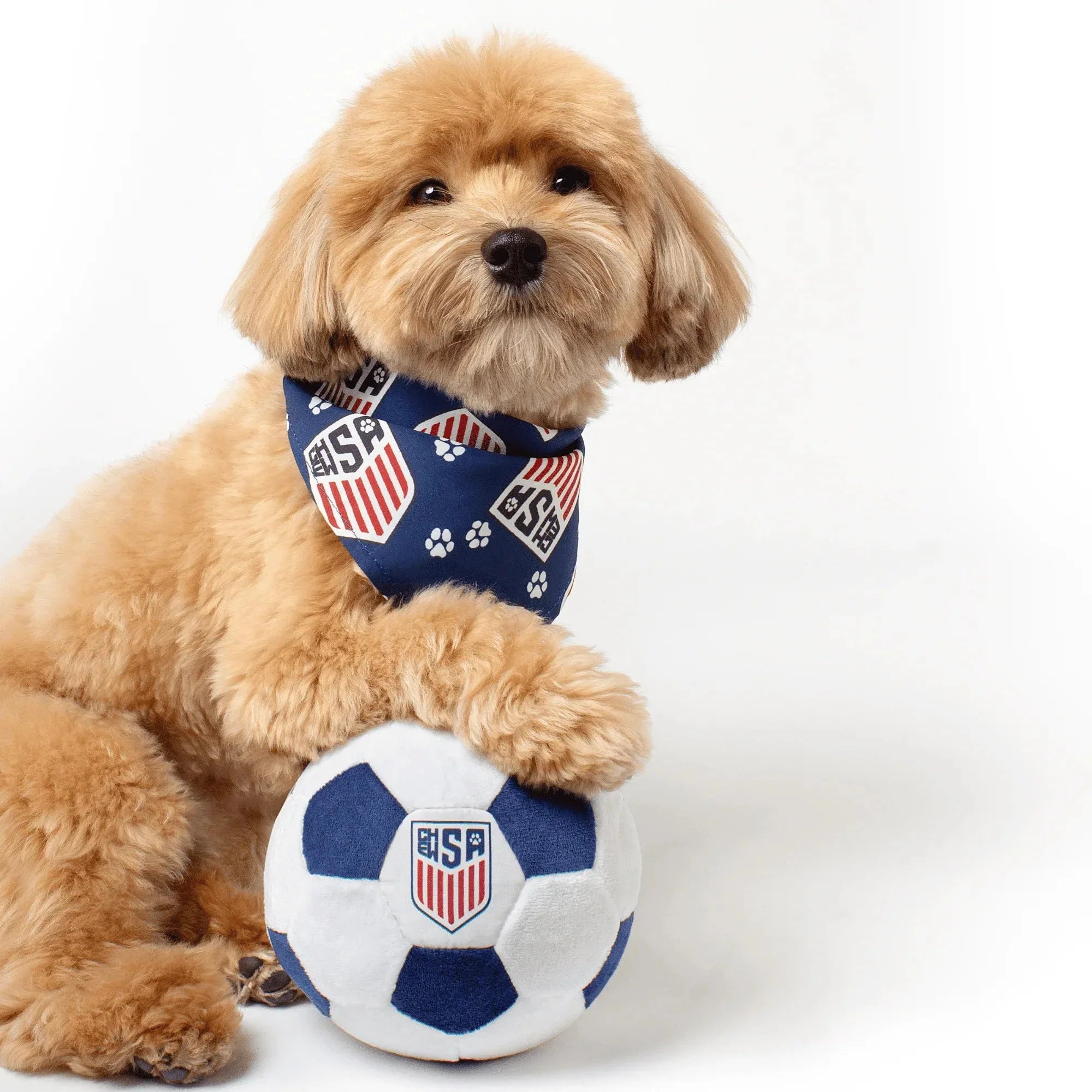 Floofball ChewSA Dog Bandana