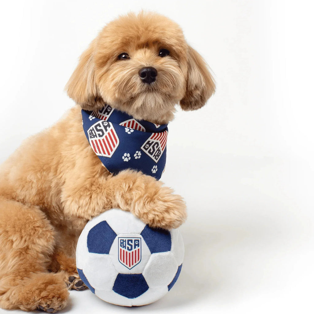 Floofball ChewSA Plush Soccer Ball - Dog Toy
