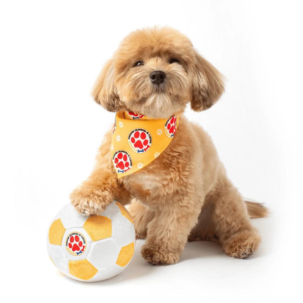 Floofball Colombia Dog Bandana
