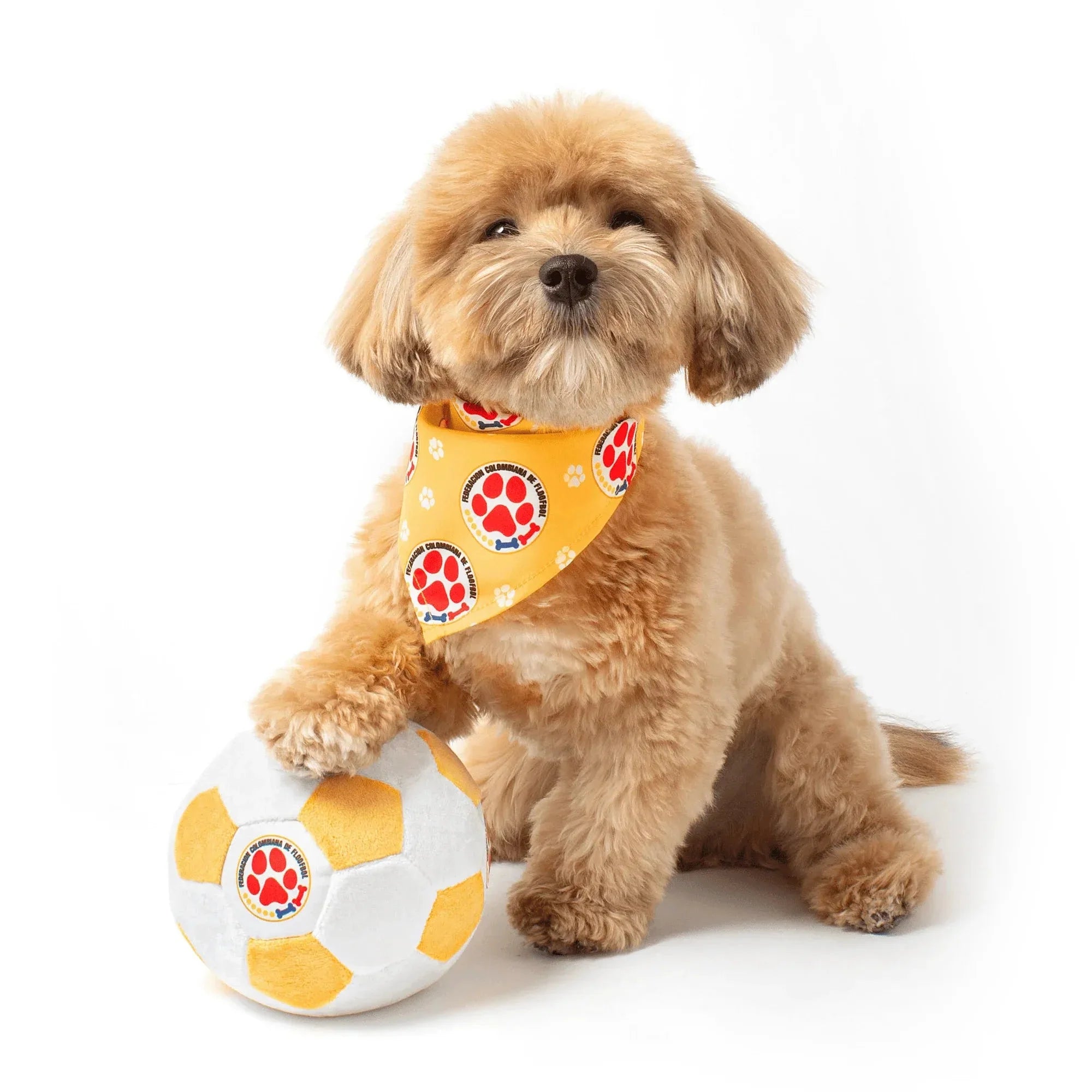 Floofball Colombia Dog Bandana