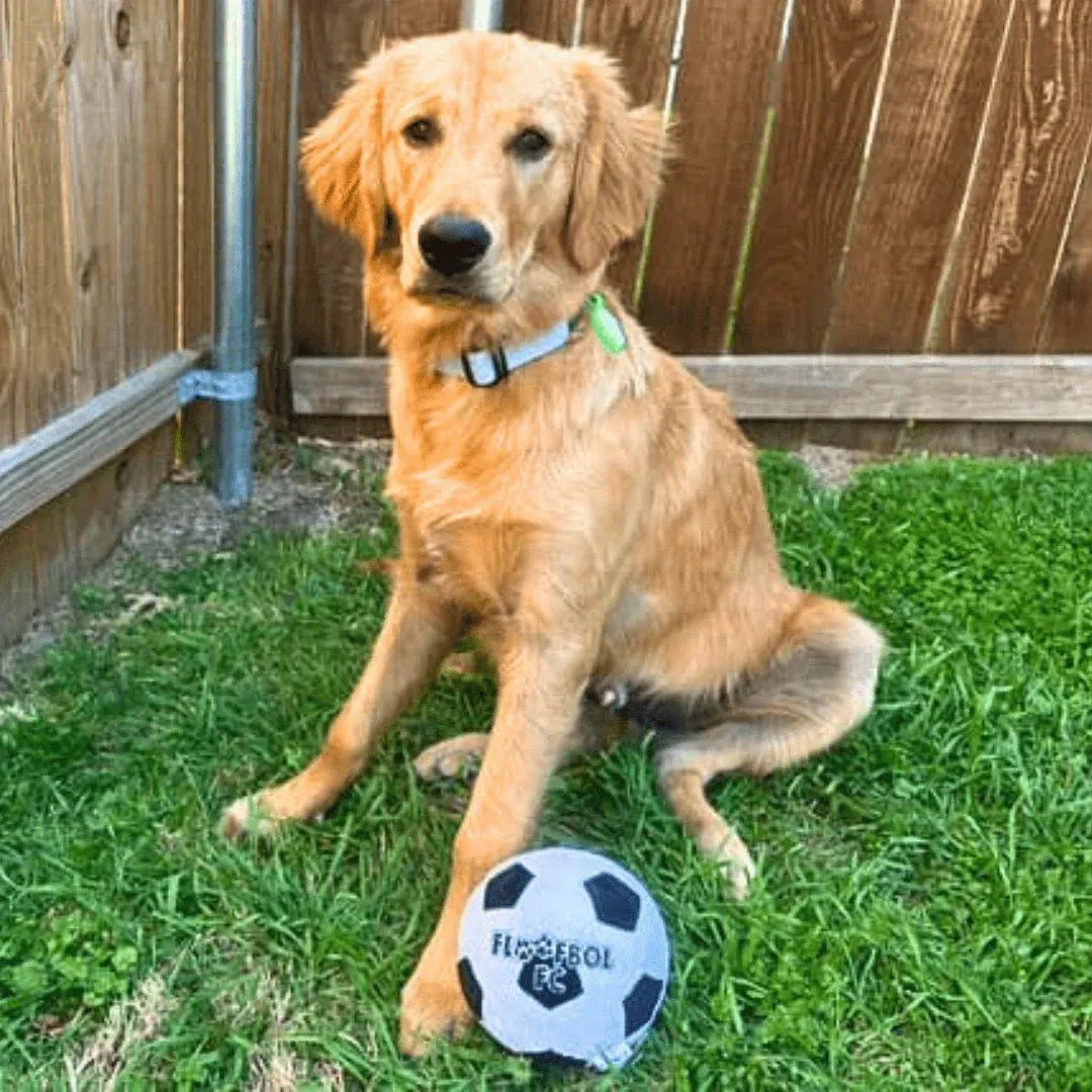 Floofball Floofbol FC Plush Soccer Ball - Dog Toy