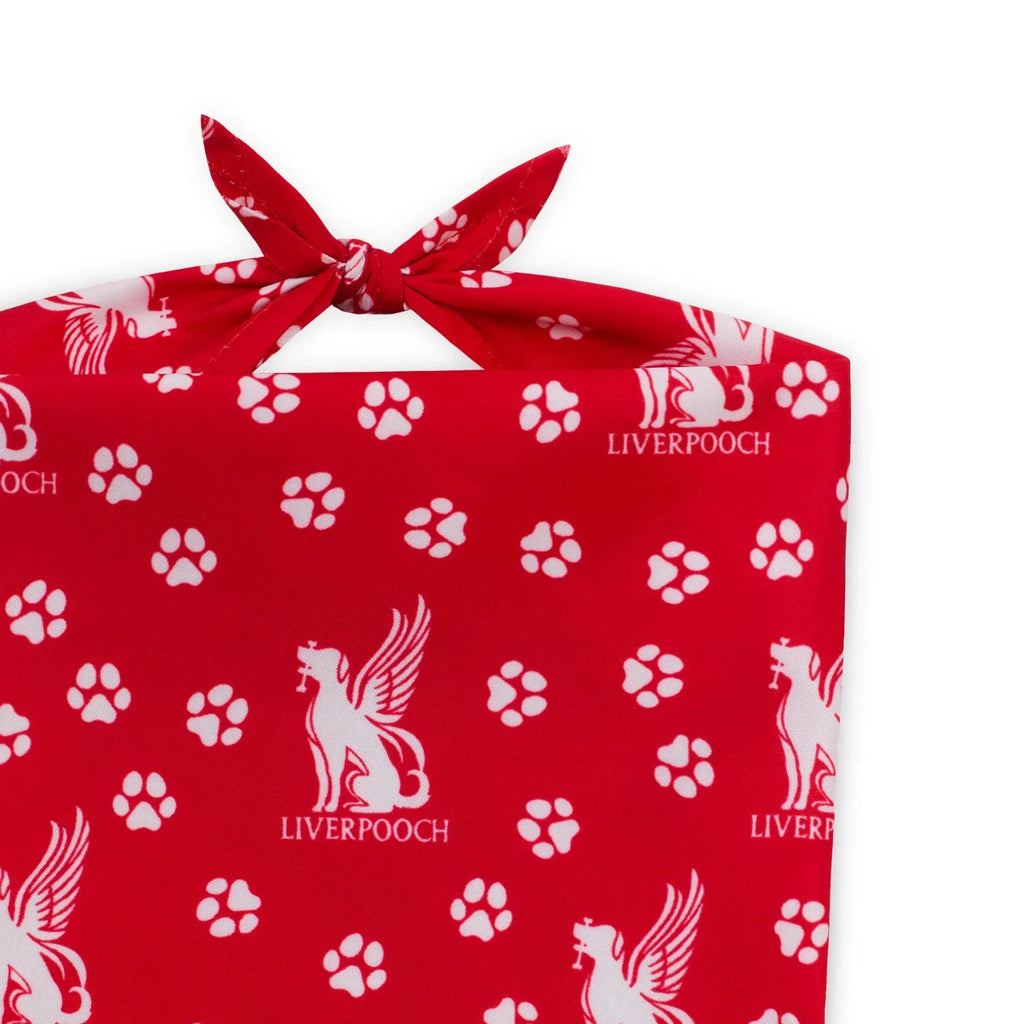 Floofball Liverpooch Dog Bandana