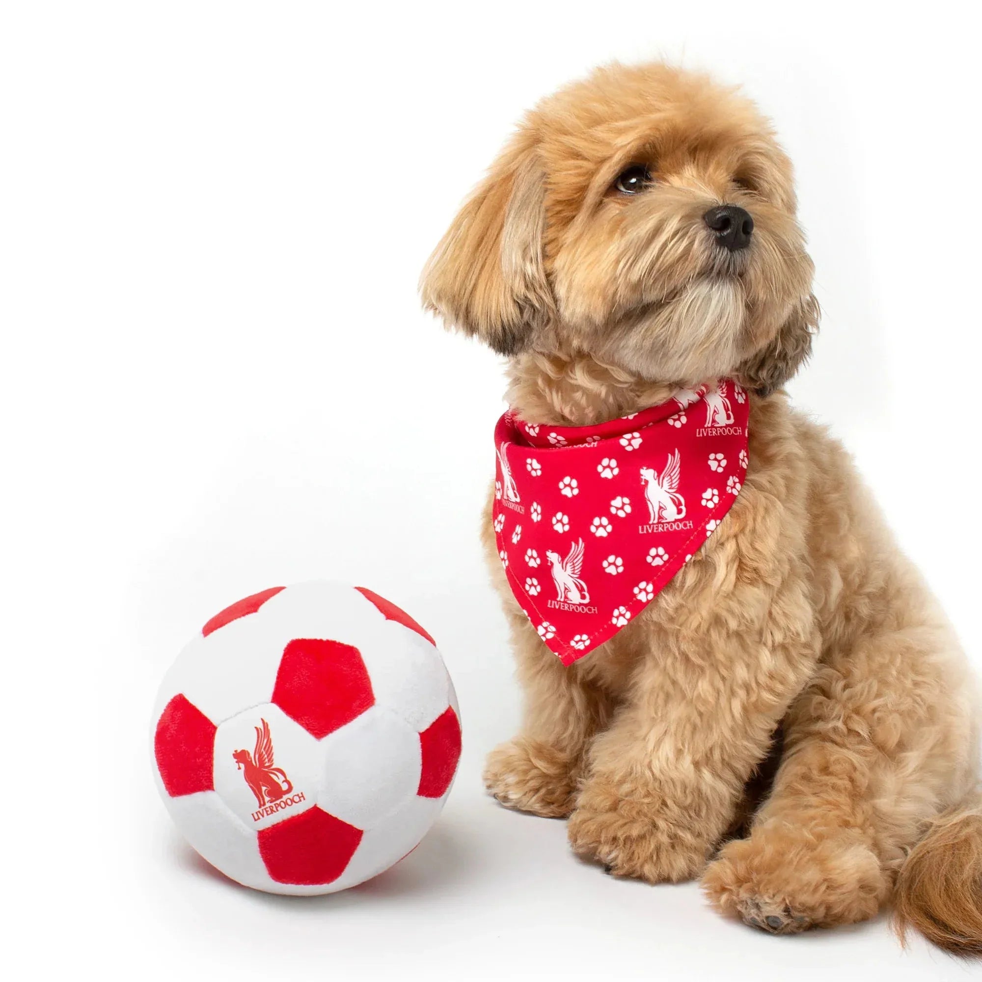 Floofball Liverpooch Dog Bandana