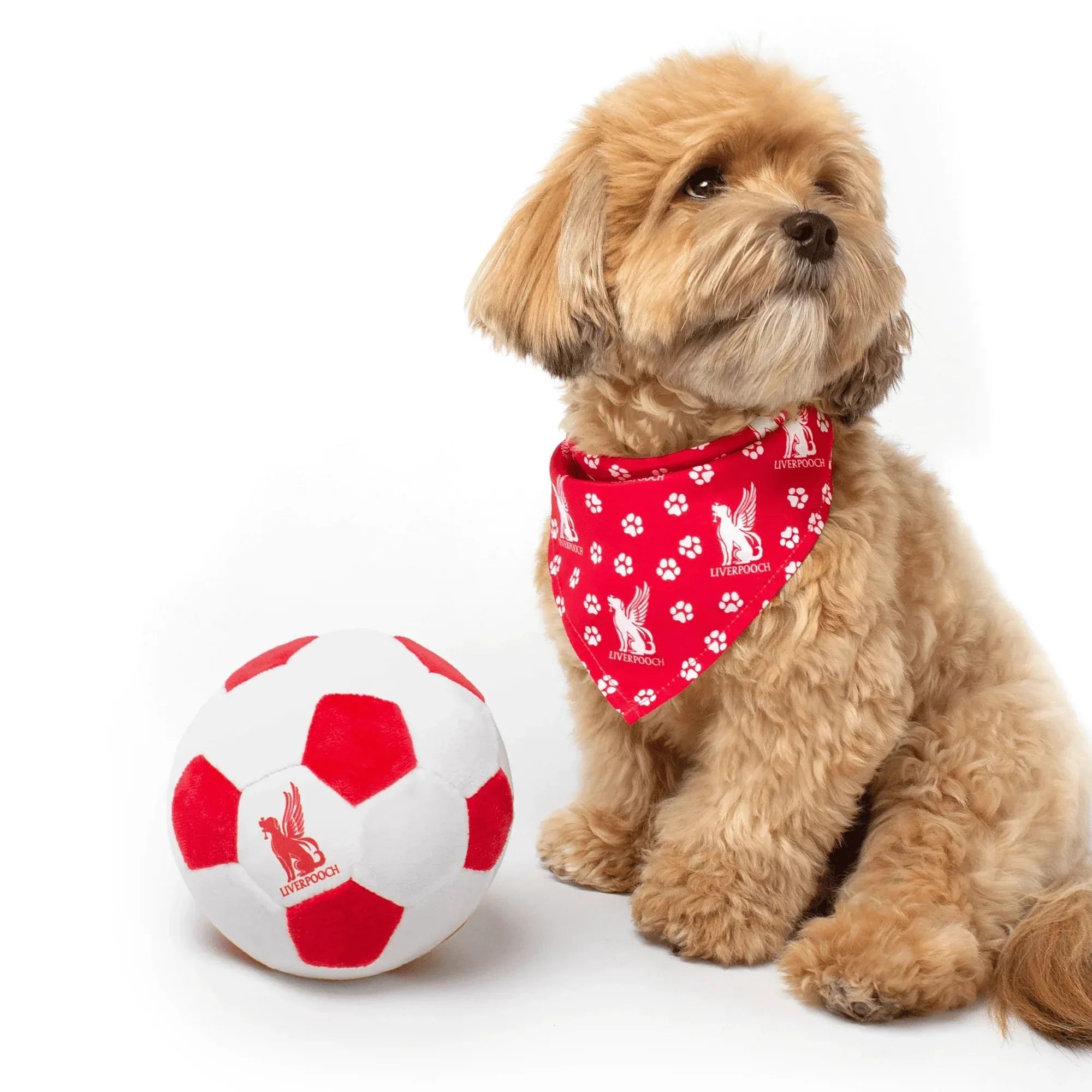 Floofball Liverpooch Plush Soccer Ball - Dog Toy