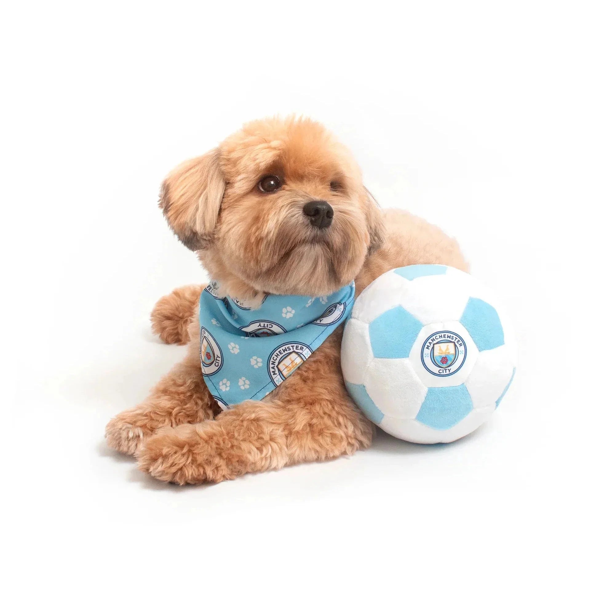 Floofball Manchewster City Dog Bandana