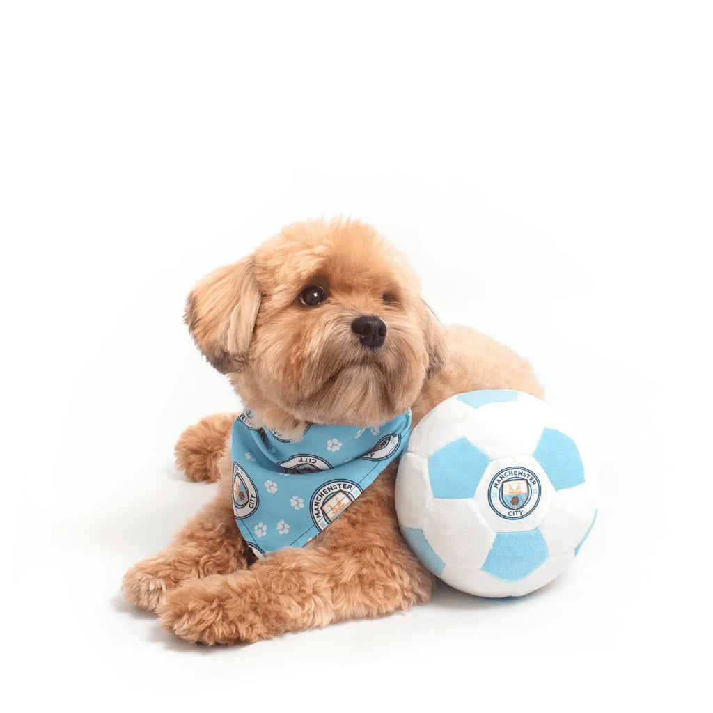 Floofball Manchewster City Plush Soccer Ball - Dog Toy