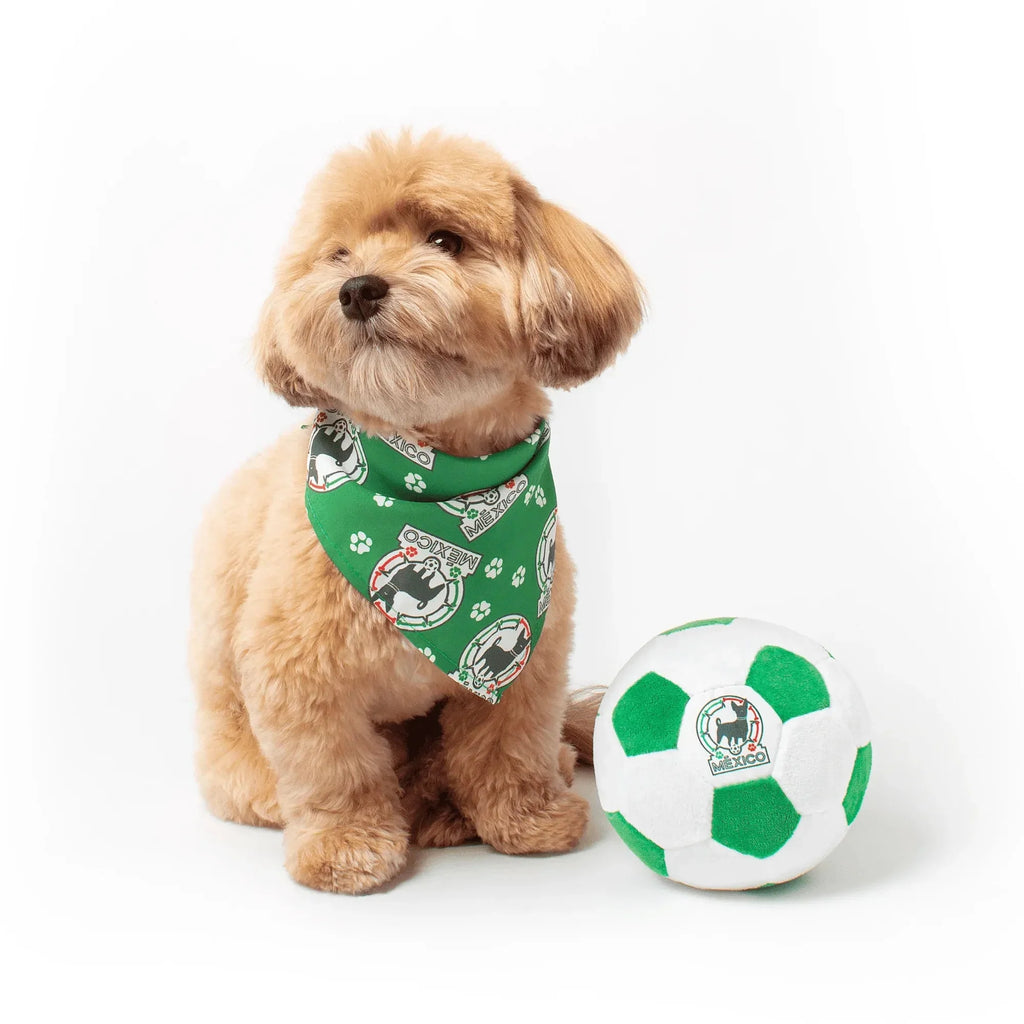 Floofball Mexico Dog Bandana