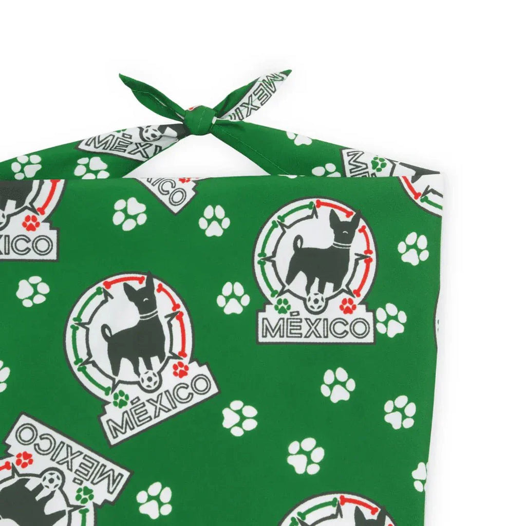 Floofball Mexico Dog Bandana