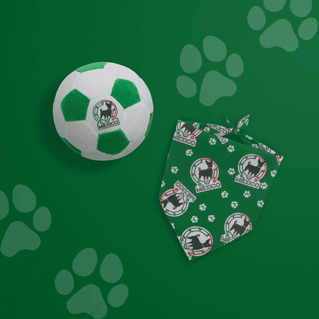 Floofball Mexico Dog Bandana