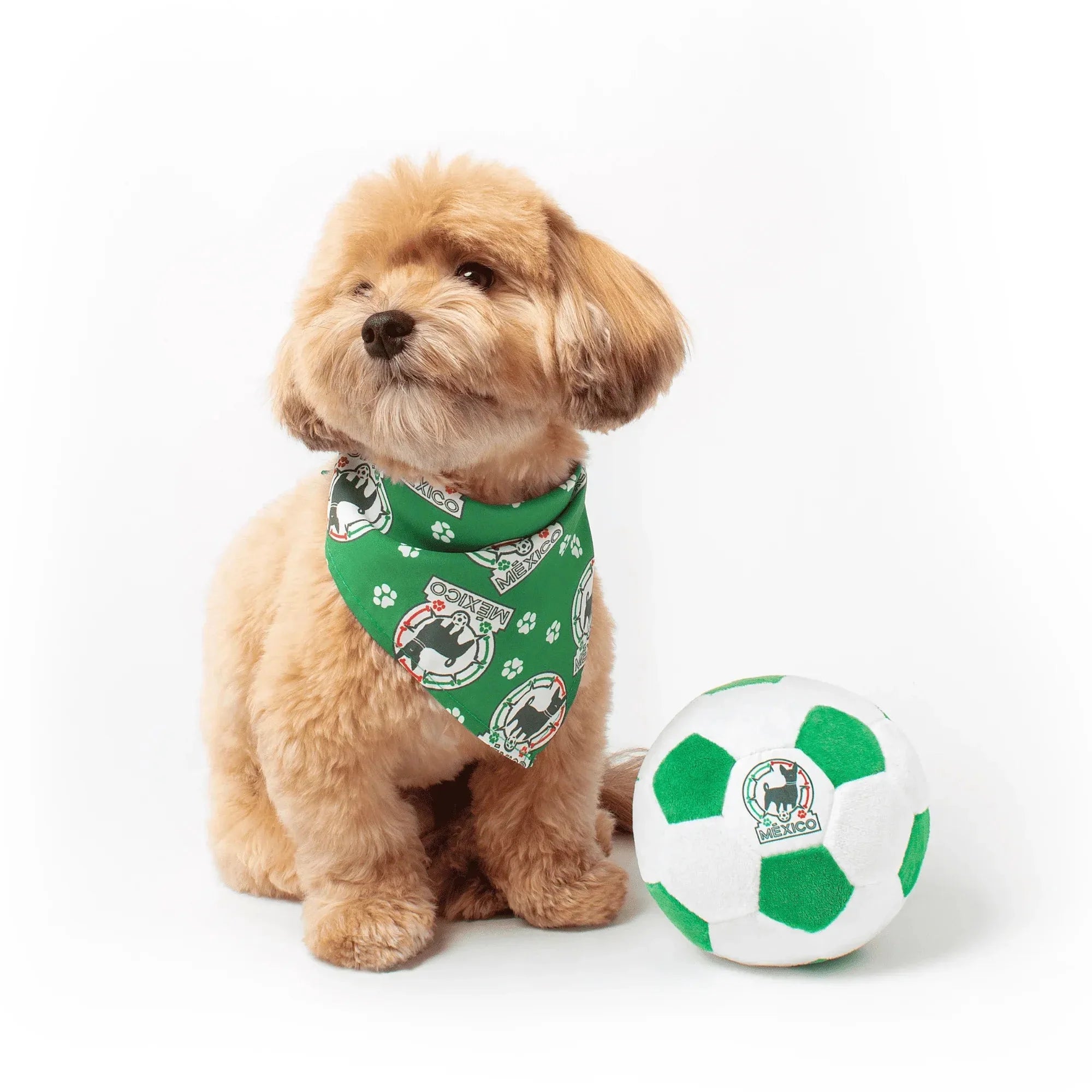 Floofball Mexico Plush Soccer Ball - Dog Toy