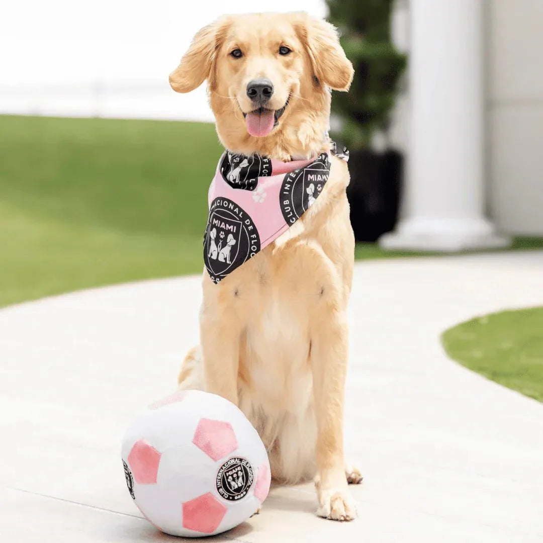 Floofball Miami Plush Large (7.5"x7.5") Soccer Ball - Dog Toy