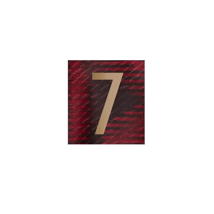 Germany 2022-23 Away Havertz #7 Jersey Name Set