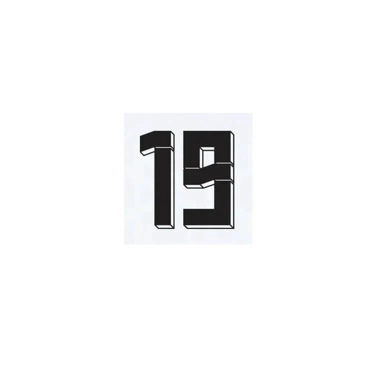 Germany 2024/25 Home Sane #19 Jersey Name Set