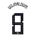 Netherlands 2020/21 Home Wijnaldum #8 Jersey Name Set