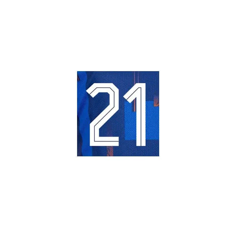 Netherlands 2024/25 Away F. De Jong #21 Jersey Name Set