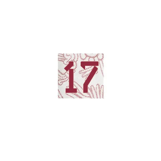 Mexico 2022-23 Away Pineda #17 Jersey Name Set