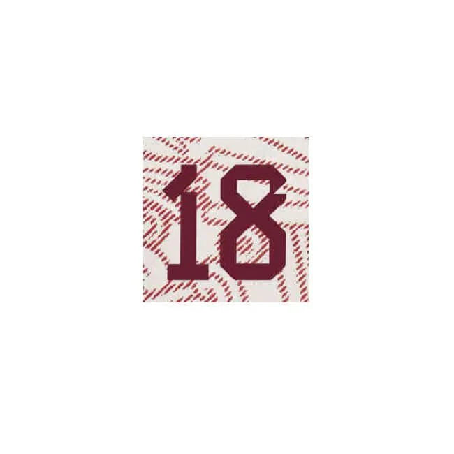 Mexico 2022/23 Away A. Guardado #18 Jersey Name Set