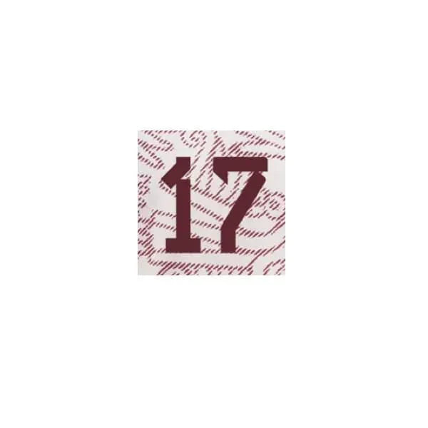 Mexico 2022/23 Away Jesus C. #17 Jersey Name Set