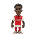Minix 12 CM Saka