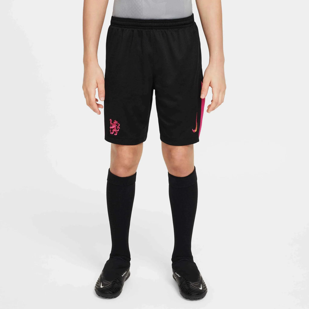 Nike 2024-25 Chelsea Youth Stadium Third Shorts
