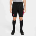 Nike 2024-25 Chelsea Youth Stadium Third Shorts