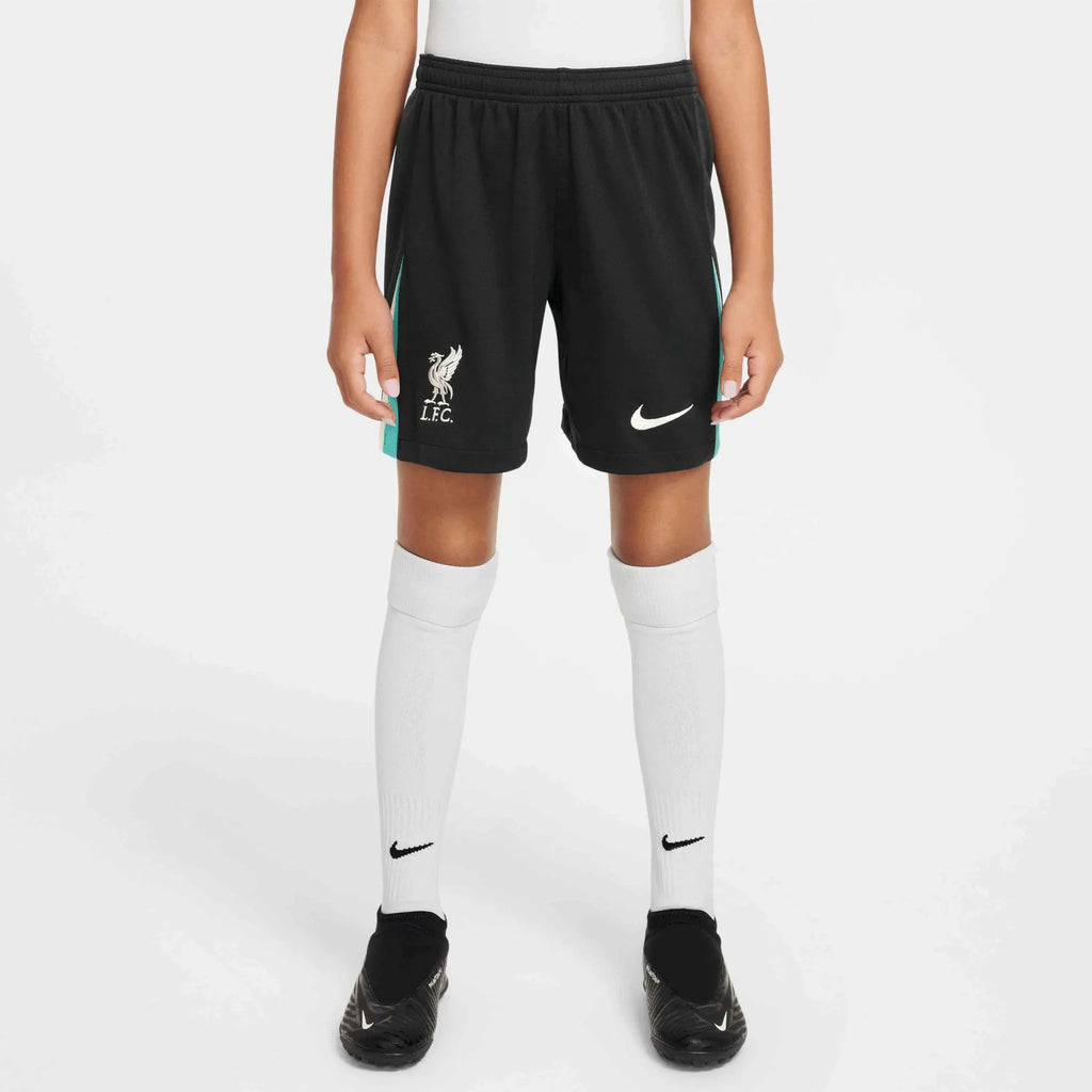 Nike 2024-25 Liverpool Youth Stadium Away Shorts