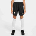 Nike 2024-25 Liverpool Youth Stadium Away Shorts