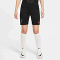Nike 2024-25 Liverpool Youth Stadium Third Shorts