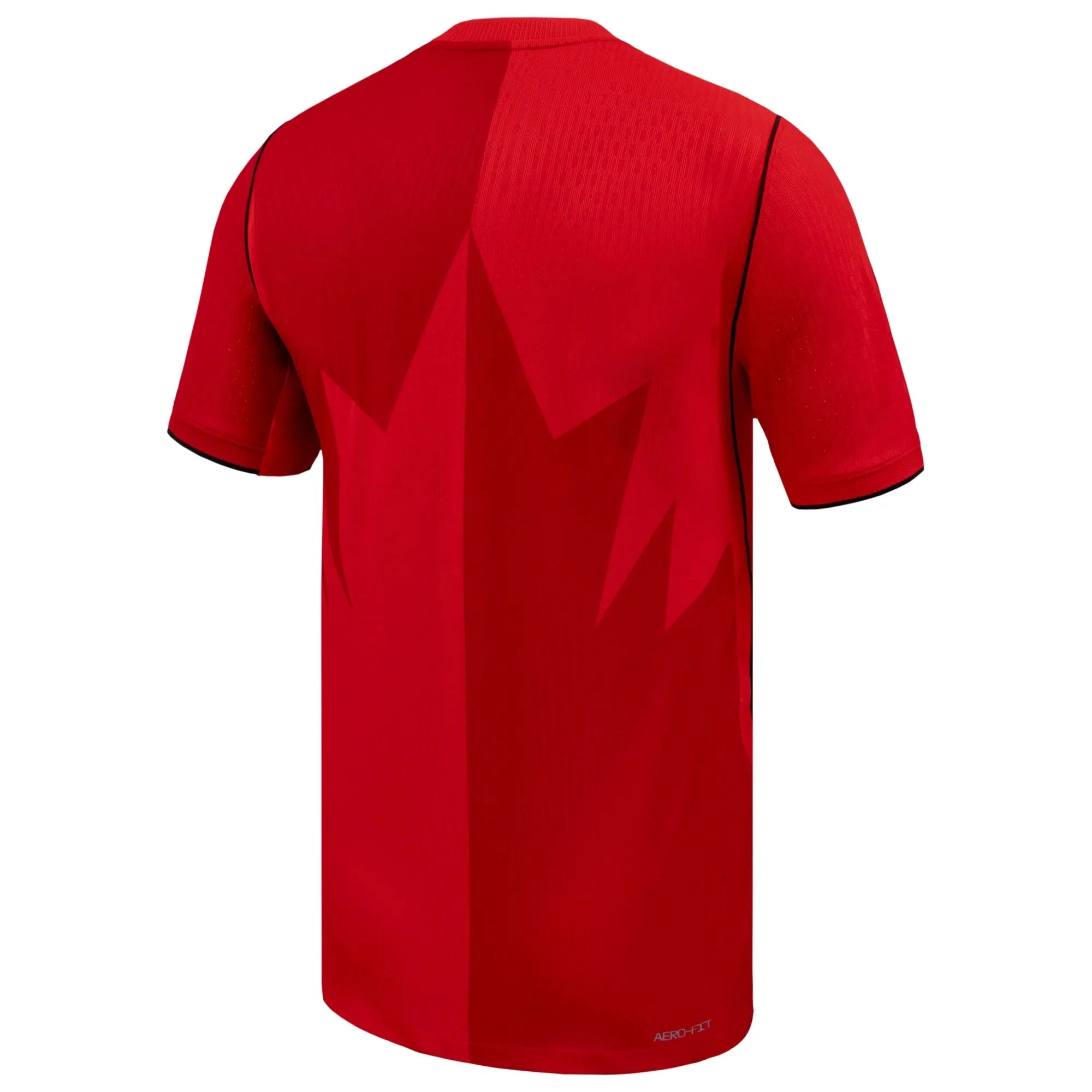 Nike 2026 Canada Men's Authentic Home Soccer Jersey
