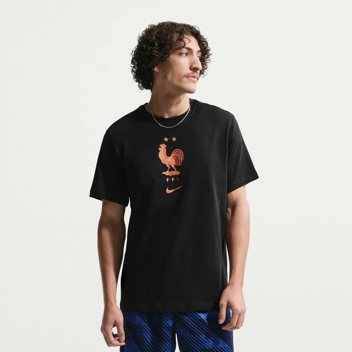 Nike 2026 France Men's Crest Tee