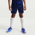Nike 2026 France Youth Stadium Home Shorts