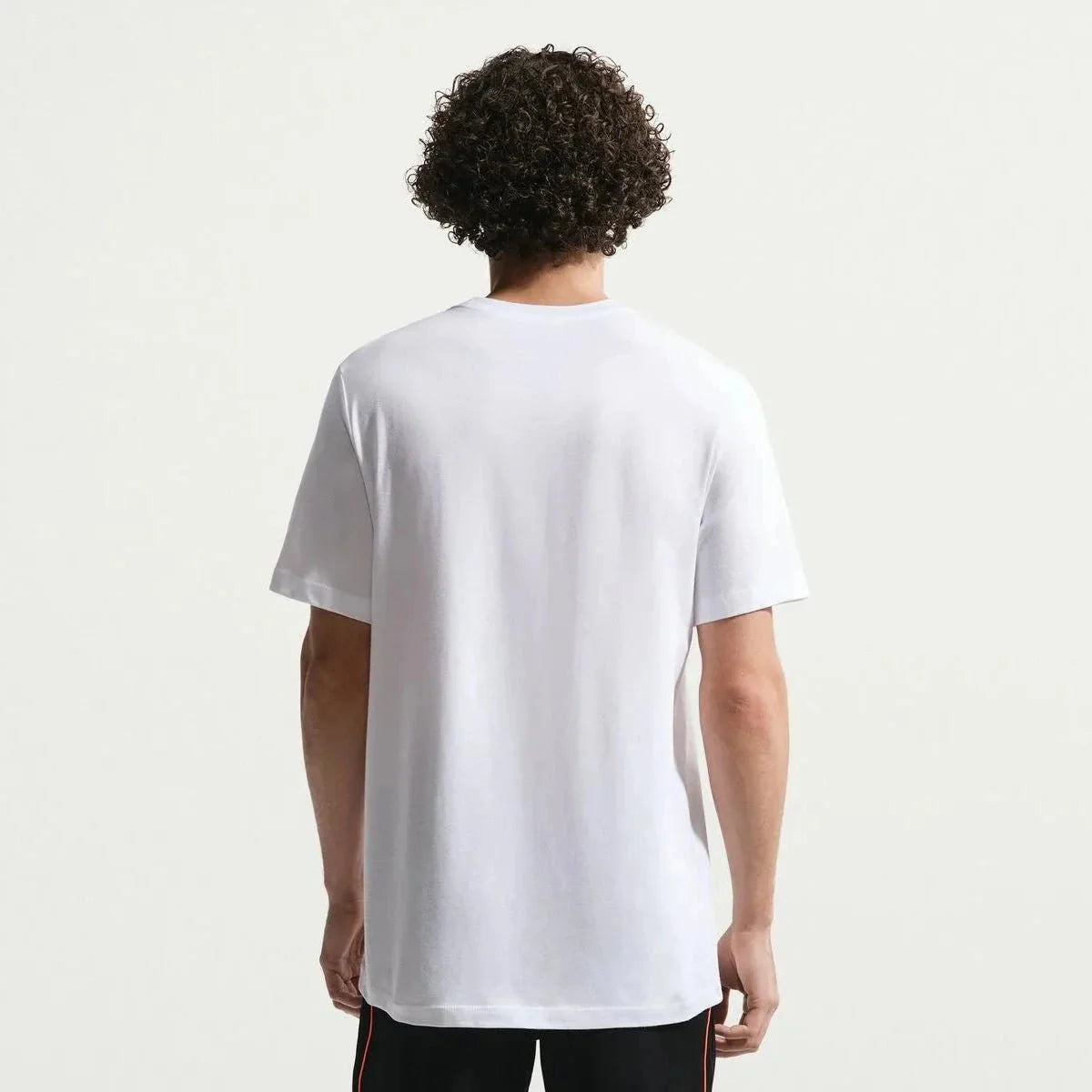Nike 2026 Netherlands Men's Crest Tee