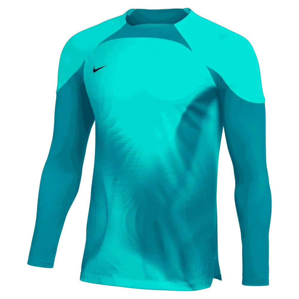 Nike Gardien IV LS Goalkeeper Jersey