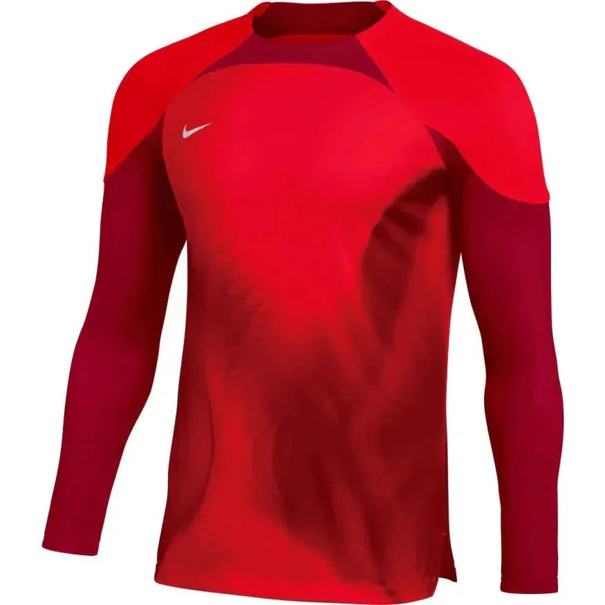 Nike Gardien IV LS Goalkeeper Jersey