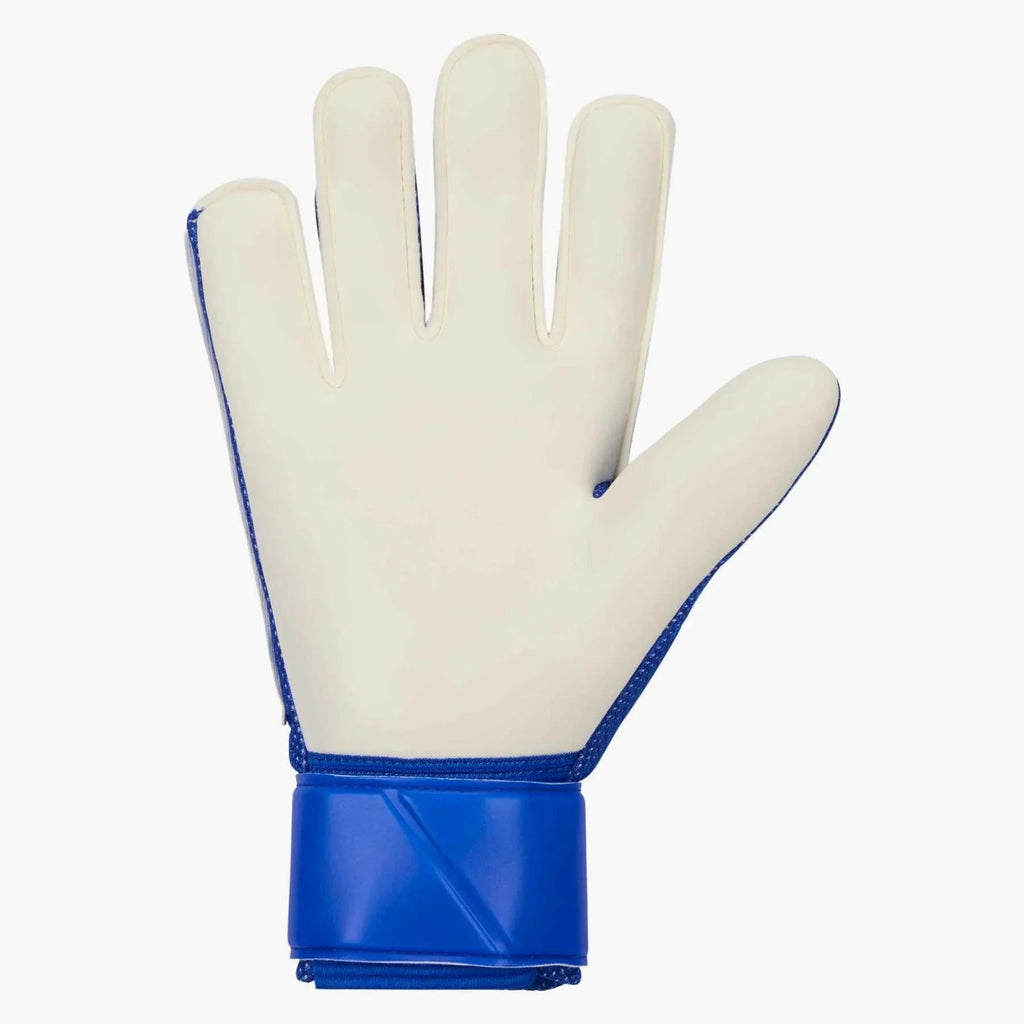 Nike Match Goalkeeper Gloves