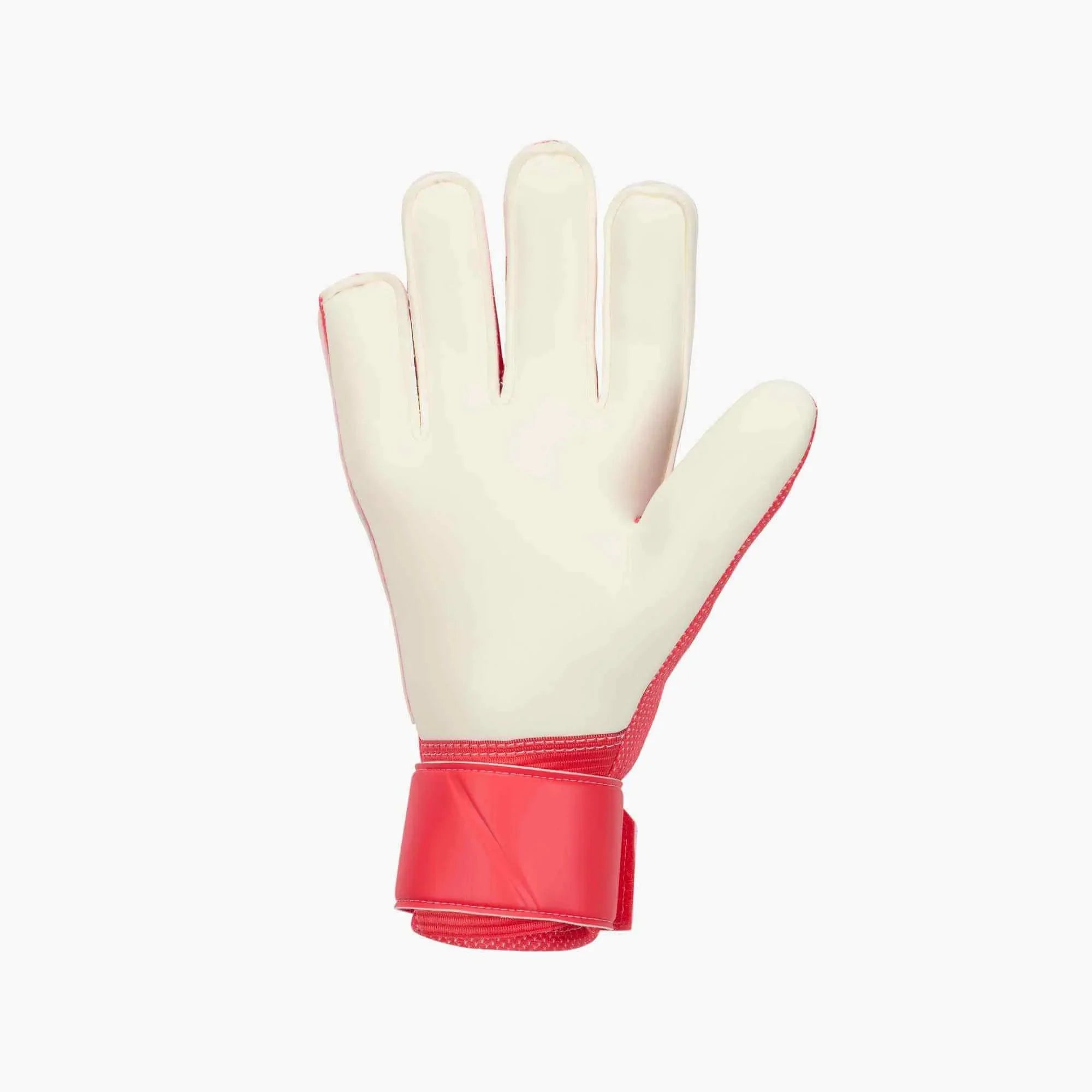 Nike Match Goalkeeper Gloves