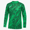 Nike Youth Gardien V LS Goalkeeper Jersey