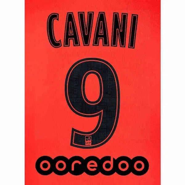 PSG 2019/20 Away Cavani #9  Jersey Name Set