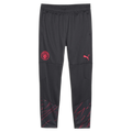 Puma 2023-24 Manchester City Men's Training Pants