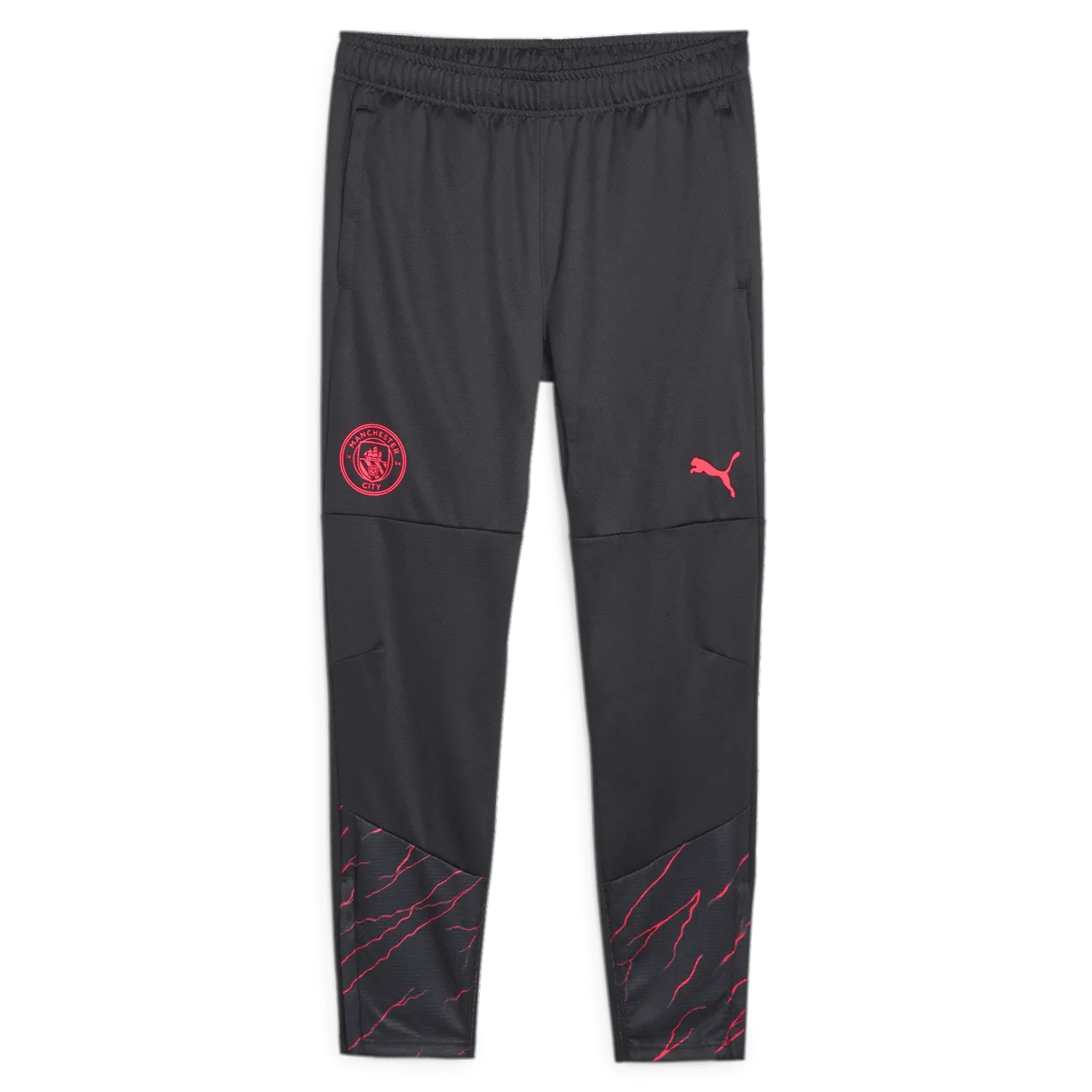Puma 2023-24 Manchester City Men's Training Pants