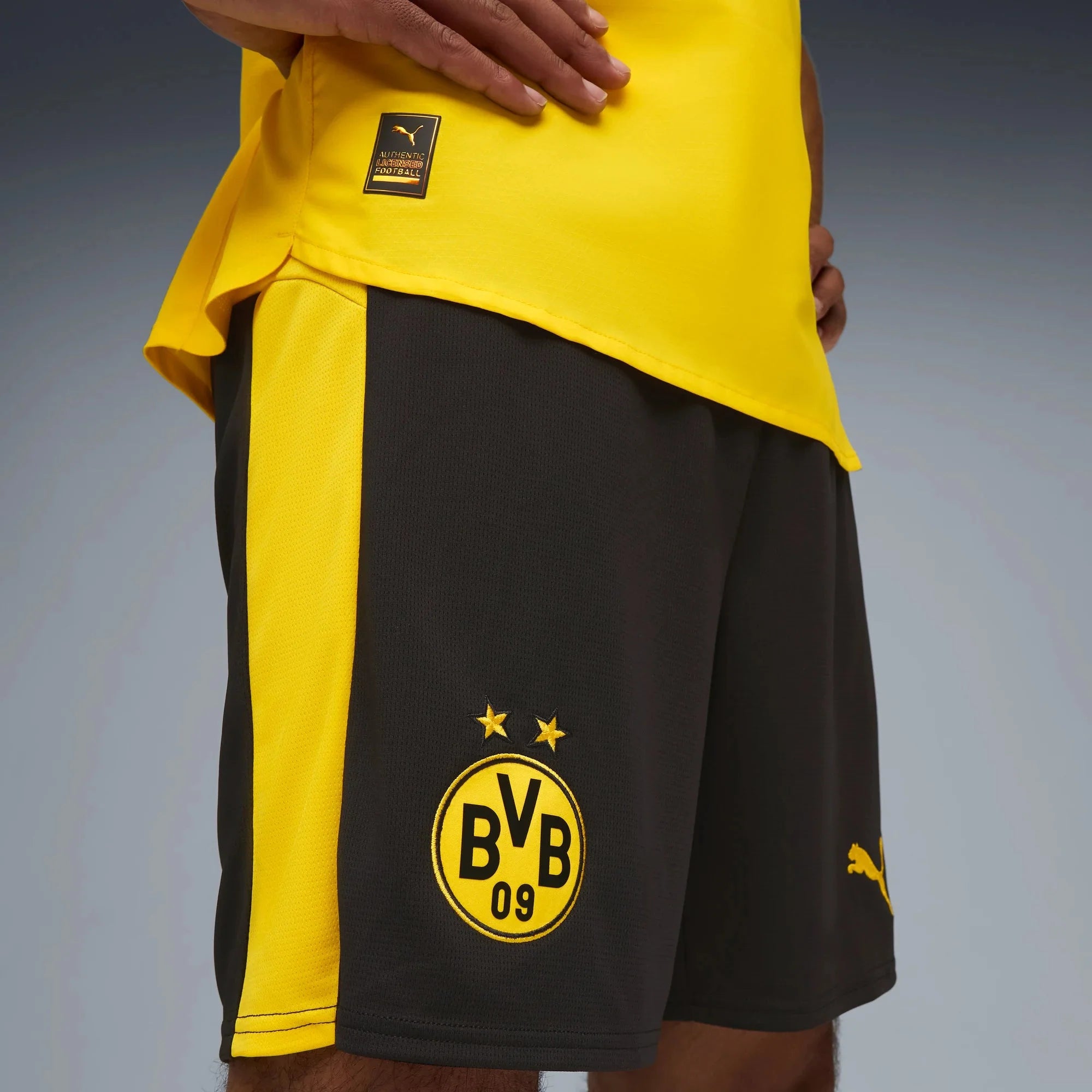 Puma 2025-26 Borussia Dortmund Men's Stadium Home Shorts