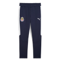 Puma 2025-26 Chivas Men's Evostripe Pants